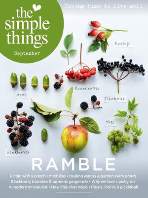 cover image of The Simple Things